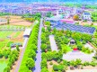 多維賦能激活鄉(xiāng)村振興內(nèi)生動(dòng)力
