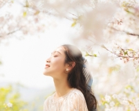 cѻһ(chng)