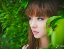 ˸