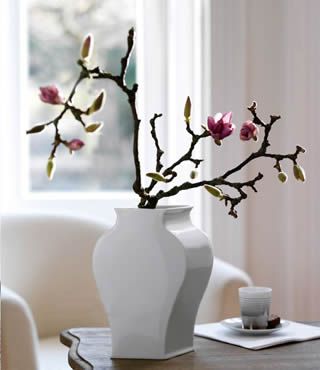 別致花瓶為居室?guī)睃c(diǎn)點(diǎn)綠意