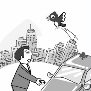 治療汽車“怪毛病”有妙招