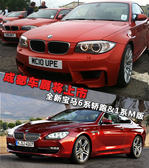R(M)  650i 