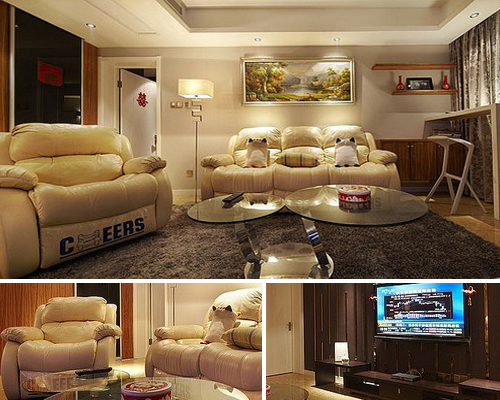 \(yn) 3(gu)(ni)W(wng)ʡX(qin)Qb