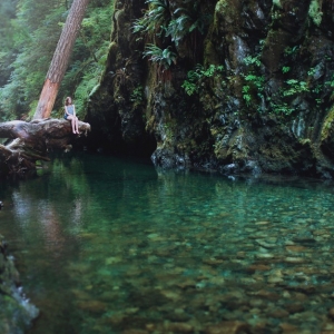 hF(tun)ϺW(xu)(x)