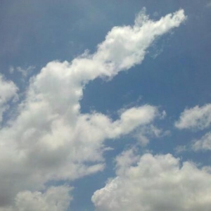 _(ti)L(fng)R(li)u ĩҪ^(gu)