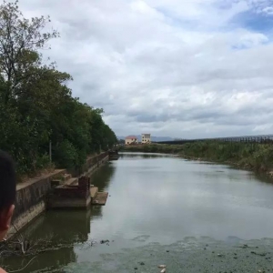 xl(f)F(xin)һߟoŮʬJ(rn)R