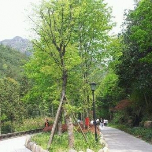 x·ɂҎ(gu) ɭֳ푄 A