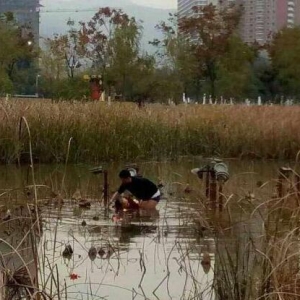 x̫̫ȹڳ(ni)񾯾oԮ