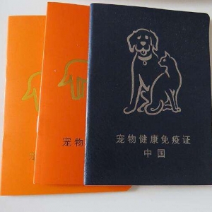 жeȮߵӛ 531ǰeӛoȮϑڡ