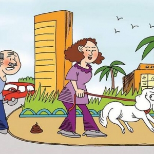 61Ќ`Ҏ(gu)B(yng)ȮО(yn)P