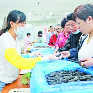 2020xý ﺣF(tun)ُ(hu)Ļ