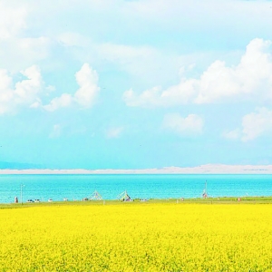 A\(yn)̖(ho)Ό(chng)(ni)ُ(hu)