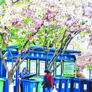 Ͷc(din) Ҳ@ô