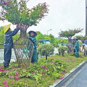 @B(yng)o·ɂ(c)ĺĵȾGľMмӹ֦