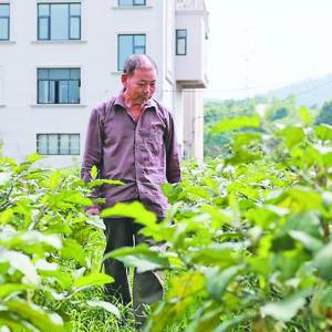 u҂Q  శһB(yng)Ϸ(w)Đr(nng)ʹ^yP(gun)