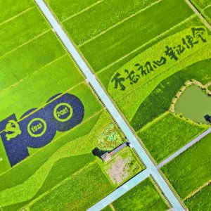 S@߅(d)áڵĂЇr(nng)Sչ(ji)֮H