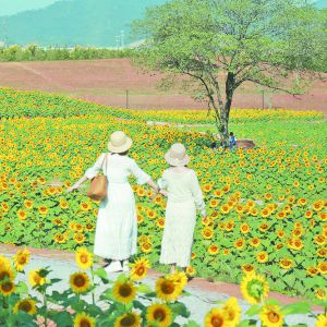  MpL(fng)  Ʒ z Ӱ l(xing)