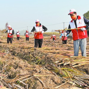 Ĉ(jin)ʮһd ͷЄ(dng)ů