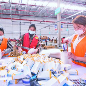 36.51f(g)fȫ xC^(q)ׂ(g) 38١ɿ