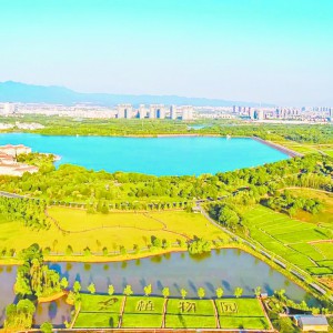 ͶF(tun)ֲ@˾h֧tɫh(qing)I(lng) Ĉ(zh)PG