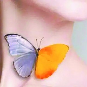 ҡаڡ  ɲSϹfаҲ