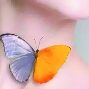 נٽY(ji)(ji)Ǳ