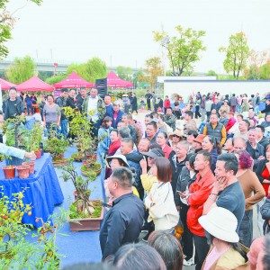 ճɽ400fԪ  2024㽭ʡf辰Ոչӭ_Tt